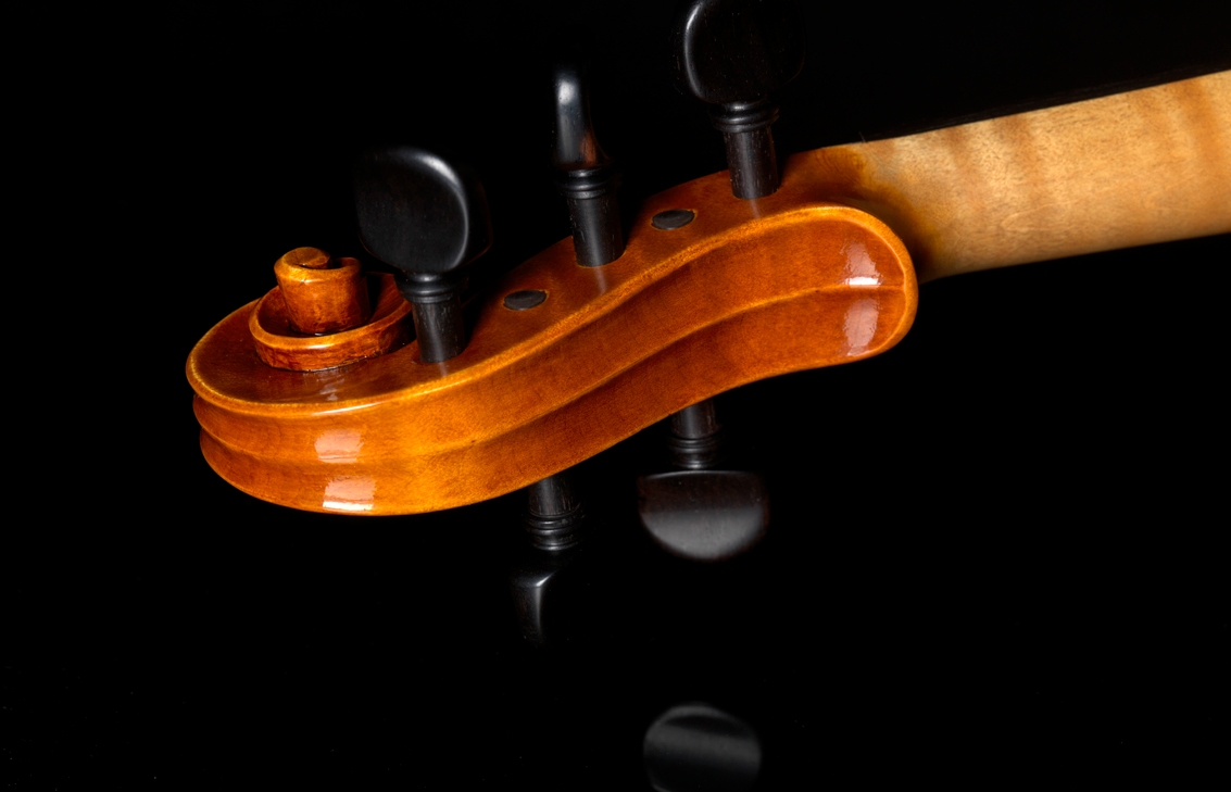 Daniel Ross 5 string violin 5